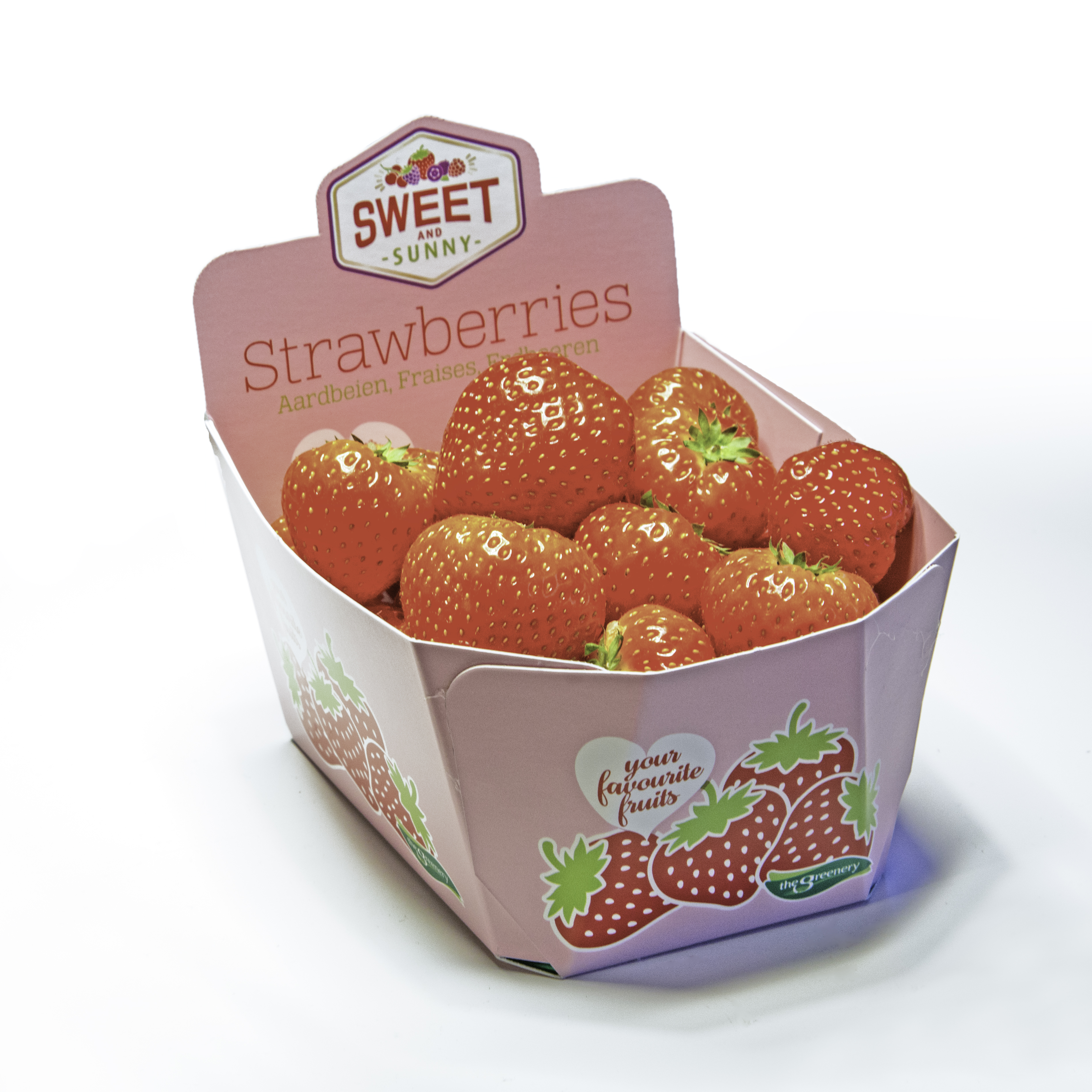 500 gram tray