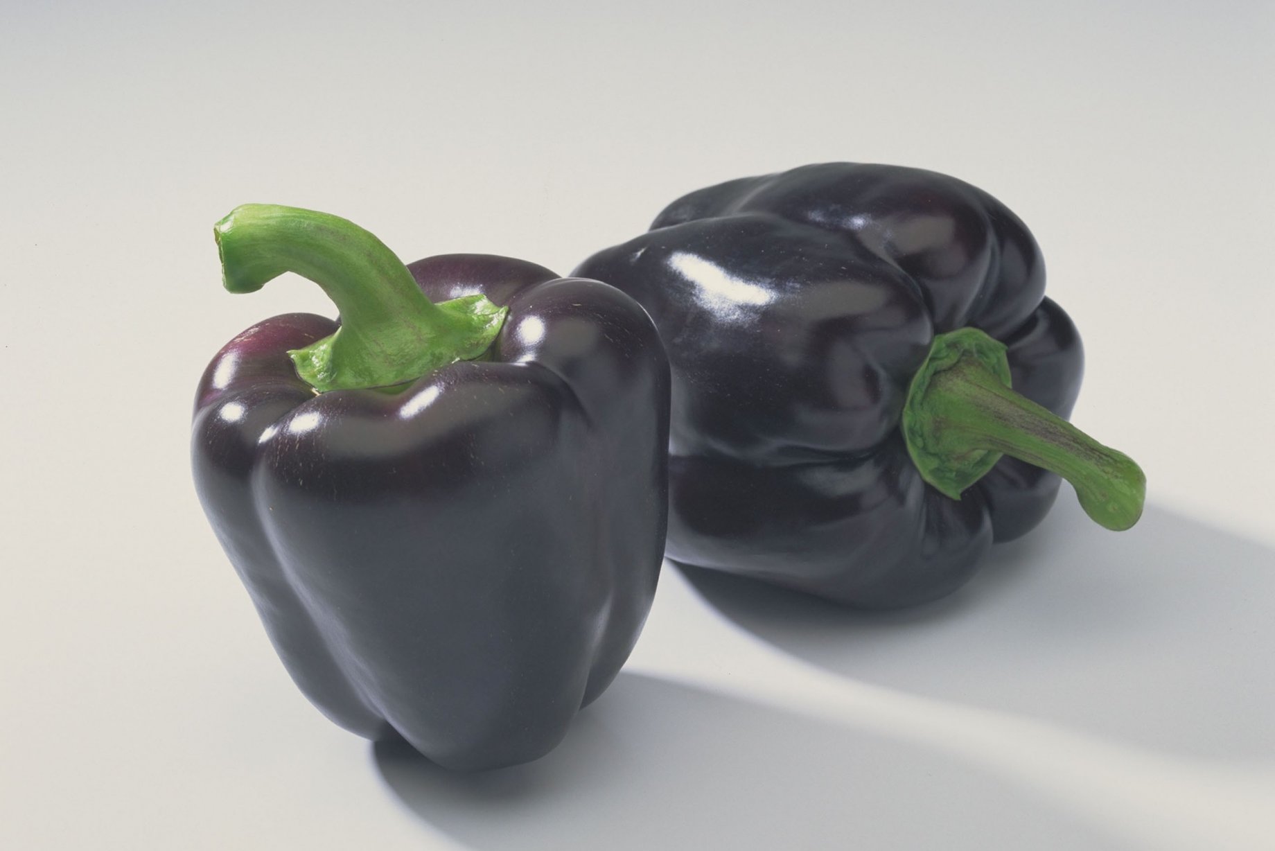 Poivrons The Greenery