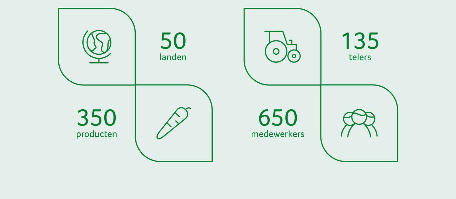 Organisatie