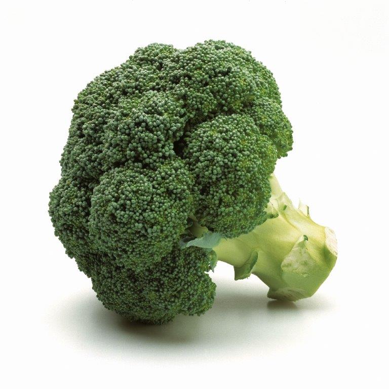 Broccoli